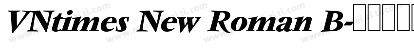 VNtimes New Roman B字体转换